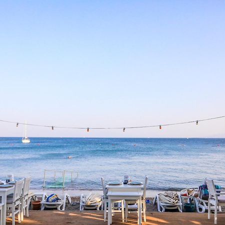 Zest Exclusive Hotel & Spa Ortakent Exteriör bild