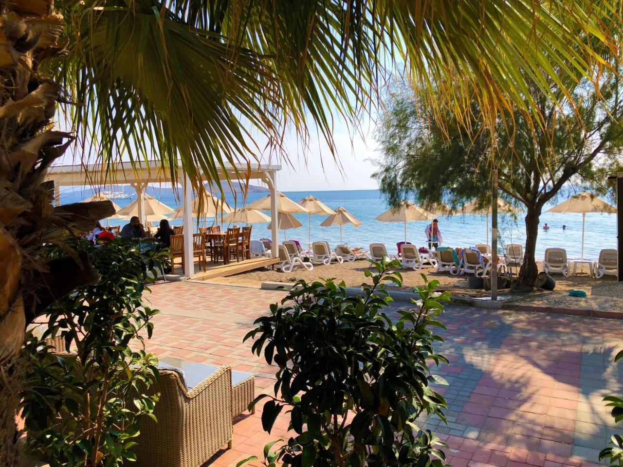 Zest Exclusive Hotel & Spa Ortakent Exteriör bild