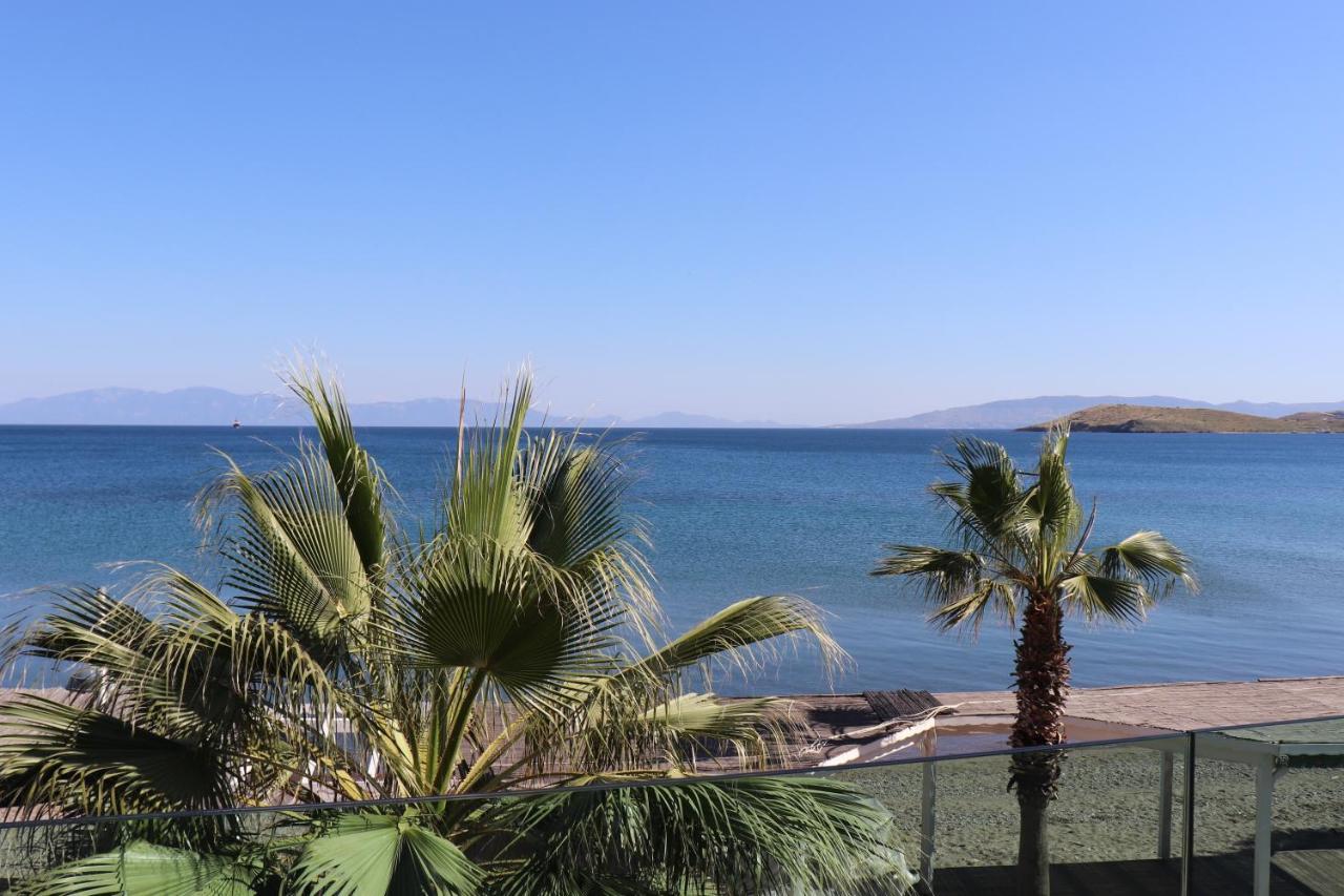 Zest Exclusive Hotel & Spa Ortakent Exteriör bild
