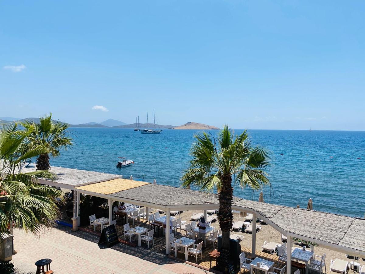Zest Exclusive Hotel & Spa Ortakent Exteriör bild