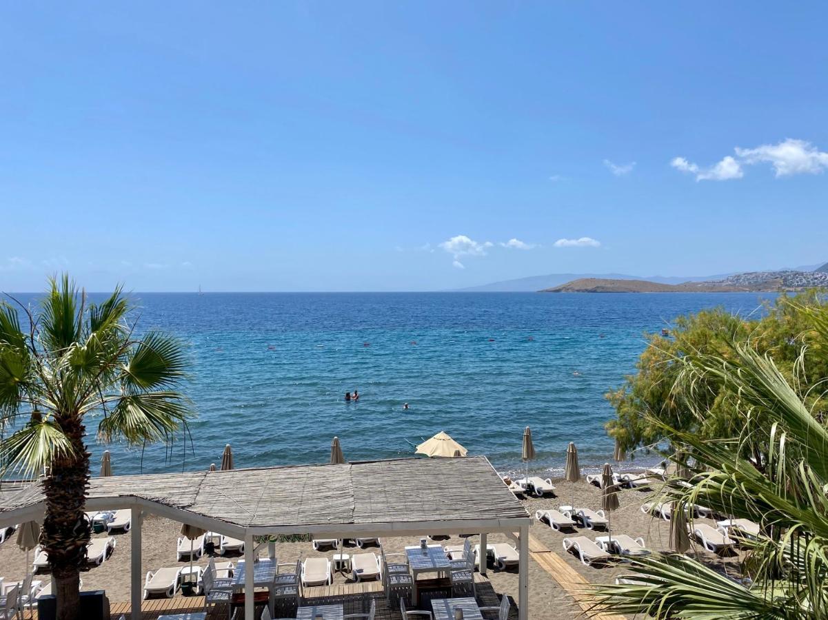 Zest Exclusive Hotel & Spa Ortakent Exteriör bild